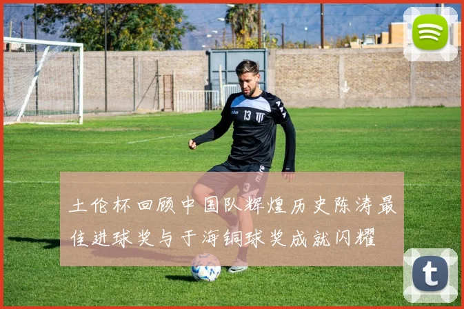 土伦杯回顾中国队辉煌历史陈涛最佳进球奖与于海铜球奖成就闪耀